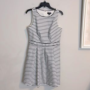 The limited navy blue and white striped dress size 8